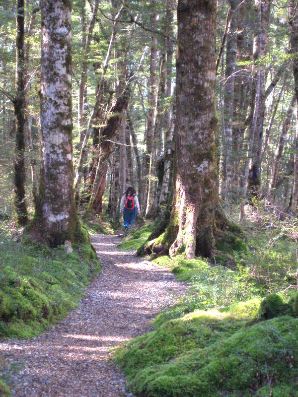 5 CONSEJOS SENDERISMO EN SOLITARIO