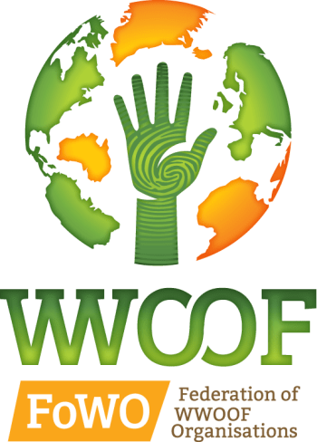 4 MANERAS DE AHORRAR DINERO MIENTRAS VIAJAS