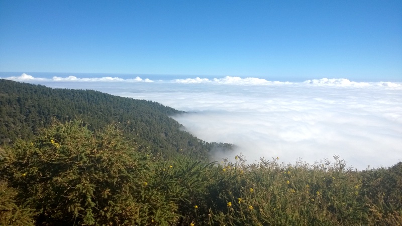 20 cosas que deberías hacer en Canarias