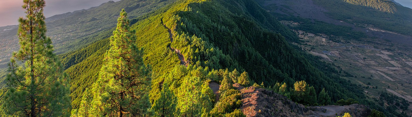 Cinco planes para sentir la isla de La Palma
